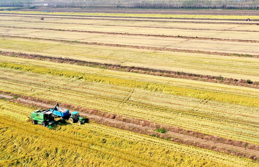 DJI_0860_副本_副本_副本.jpg
